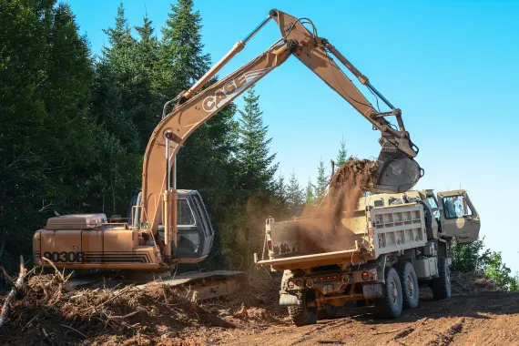 קזינו בונקרס בט תמיכה